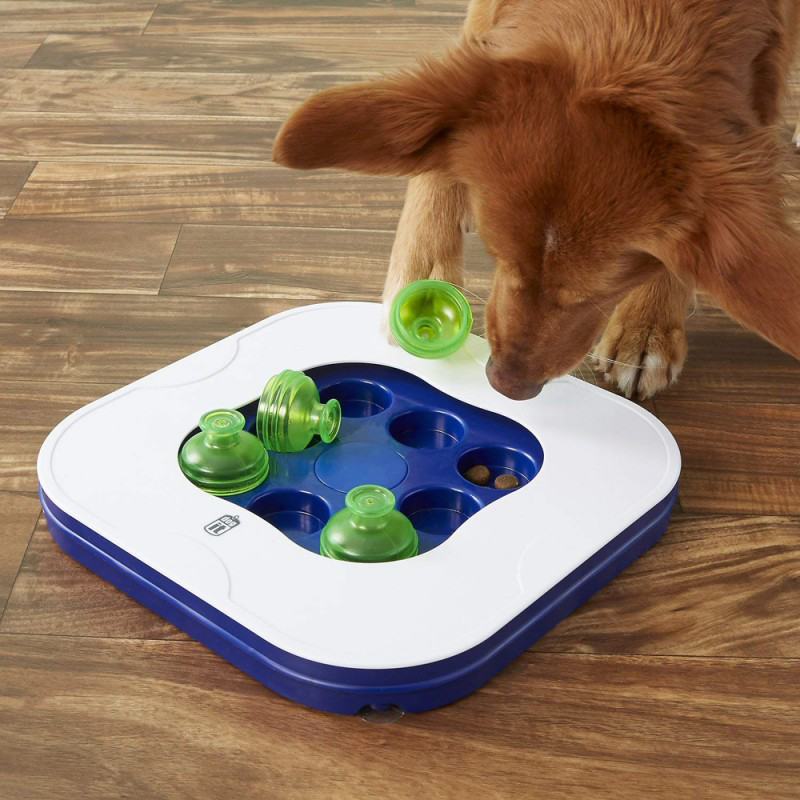 Dogit Mind Games Juego Interactivo - Imagen 4