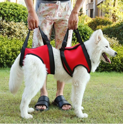Arnés terapéutico, para perros y gatos, patas delanteras (Rehabilitación)