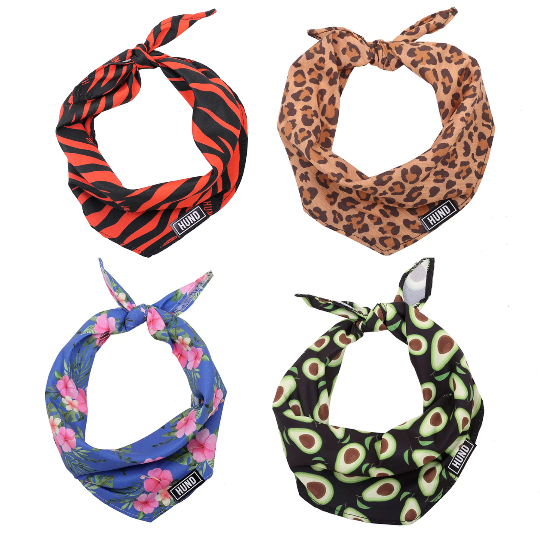 BANDANA HUND