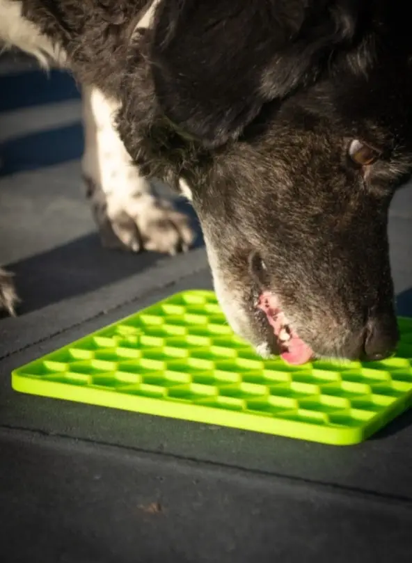 Alfombra para lamer Eat Slow LickiMat