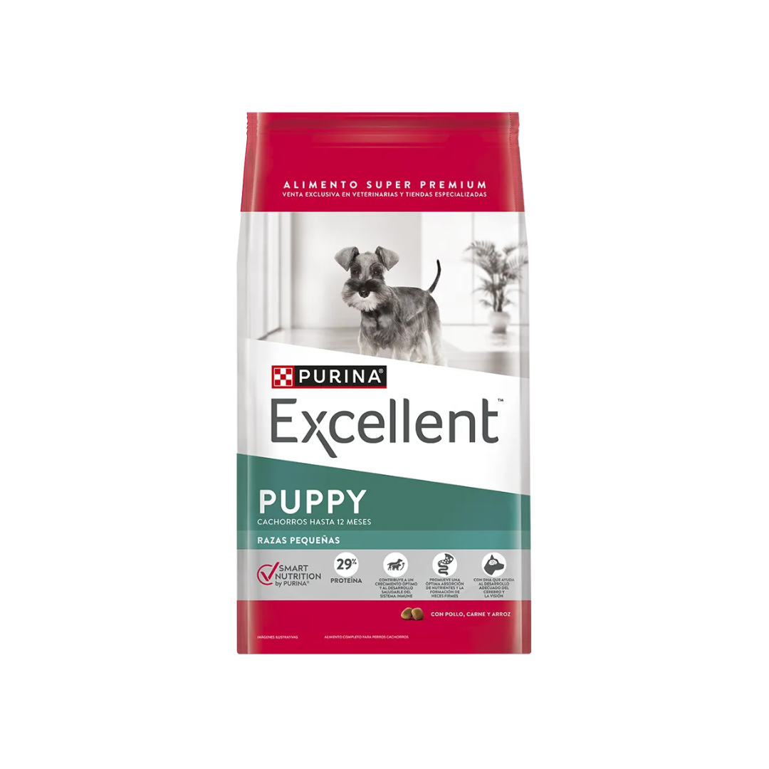 EXCELLENT DOG PUPPY SMALL BREED