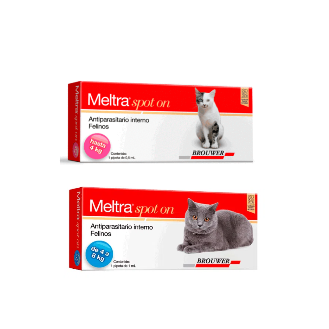 MELTRA SPOT-ON PARA GATOS