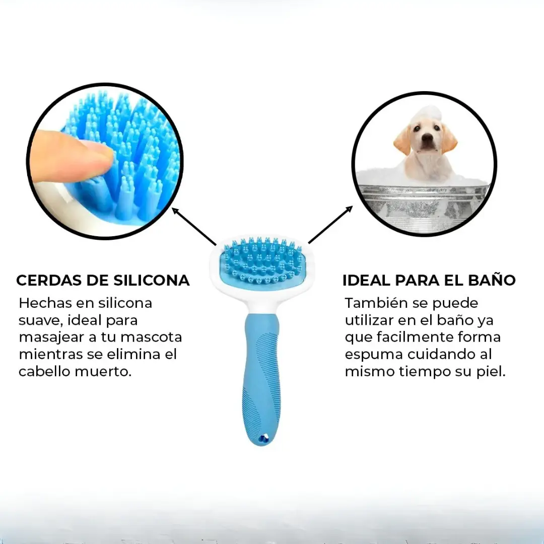 CARDINA DE GOMA - Imagen 3