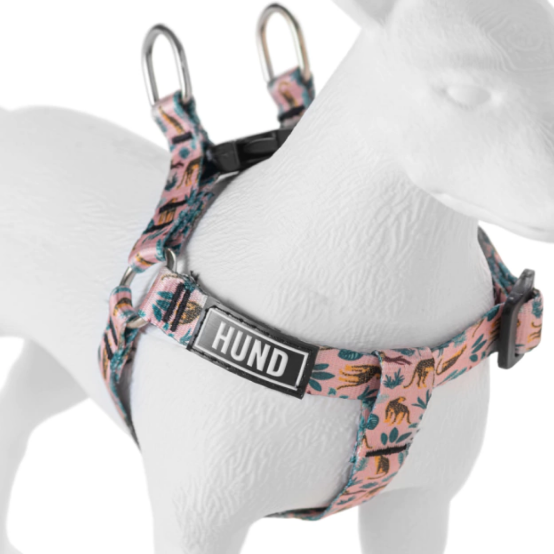PRETAL HUND CHEETAH - Imagen 4