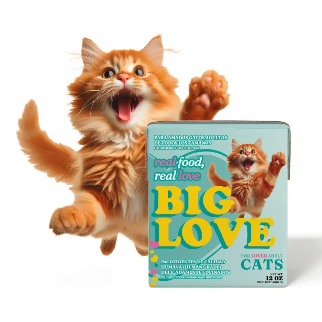 ALIMENTO BIG LOVE PARA GATOS