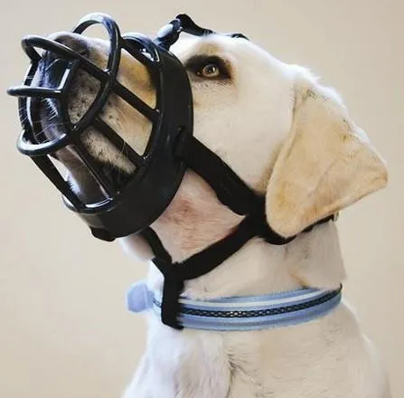 Bozal Baskerville Ultra Muzzle - Imagen 3
