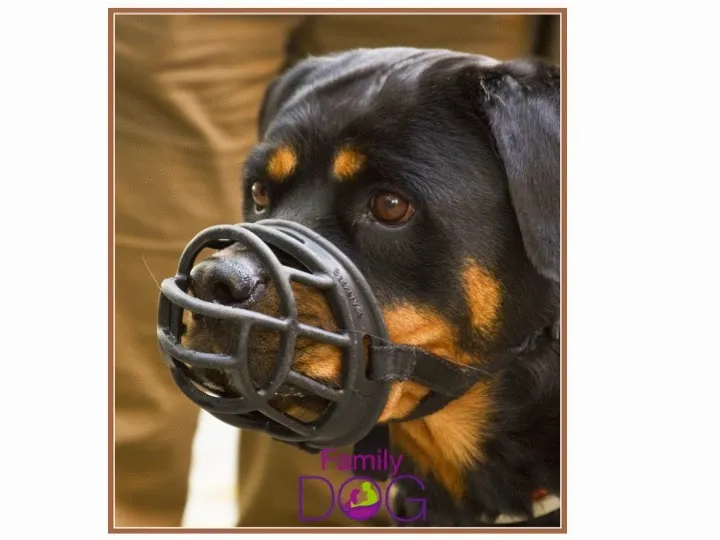 Bozal Baskerville Ultra Muzzle
