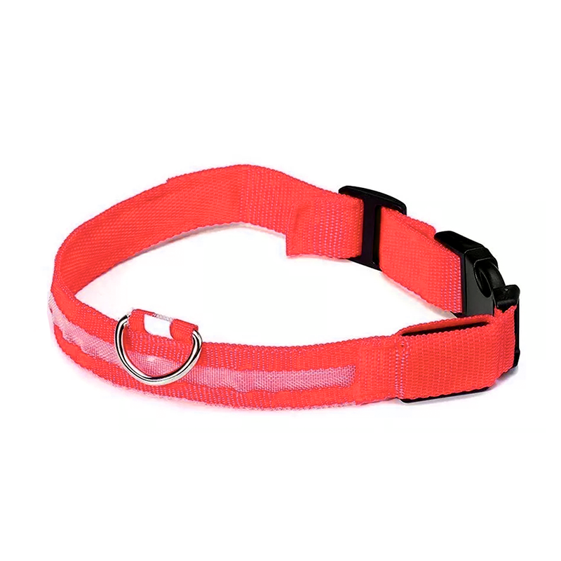 Collar Con Luz - Imagen 5