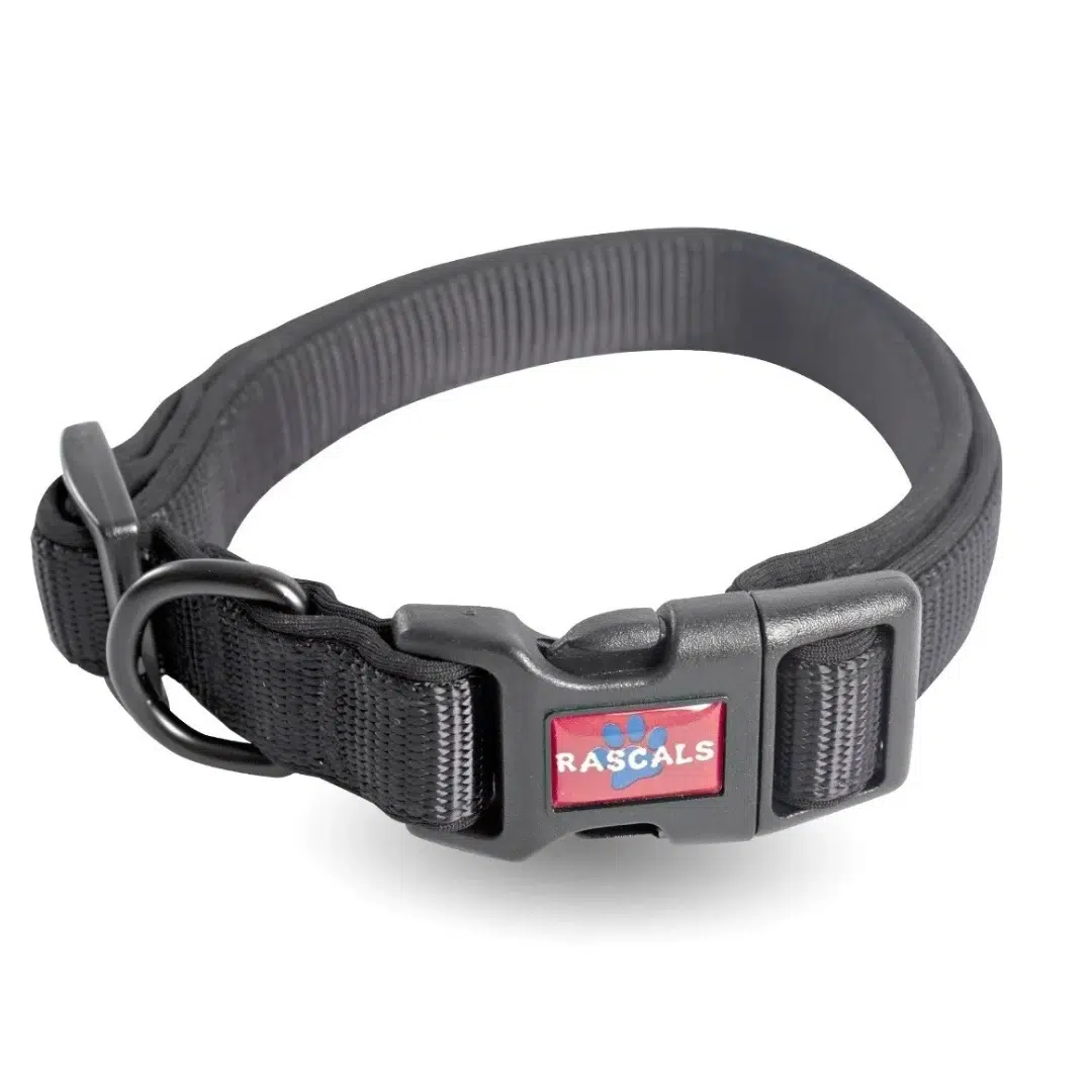 COLLAR RASCALS PREMIUM
