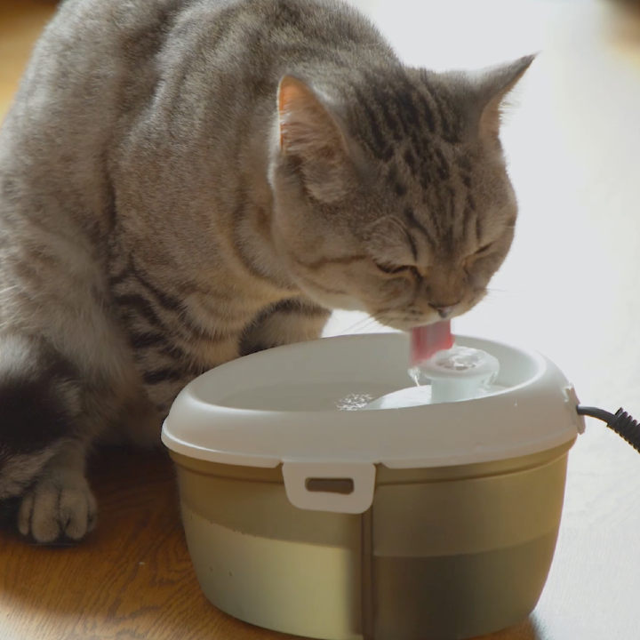 CatH2O Fuente de Agua Gato Mini 1.2 L Negra - Imagen 4