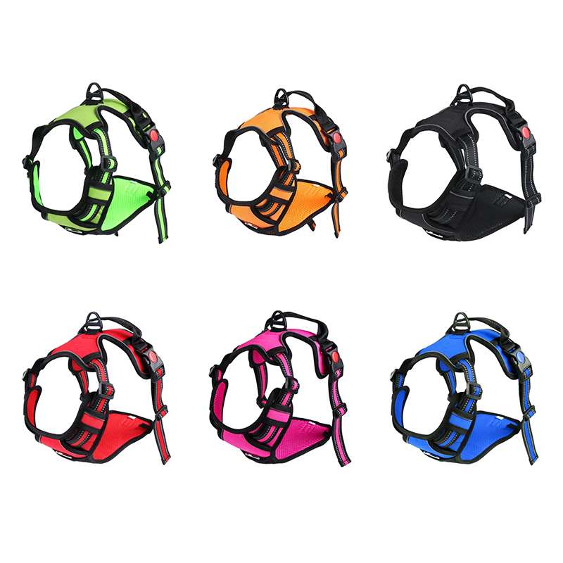 Harness Con Bloqueo