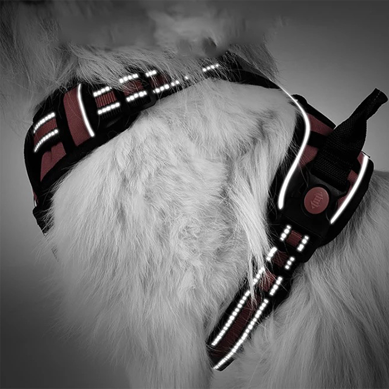 Harness Con Bloqueo - Imagen 6