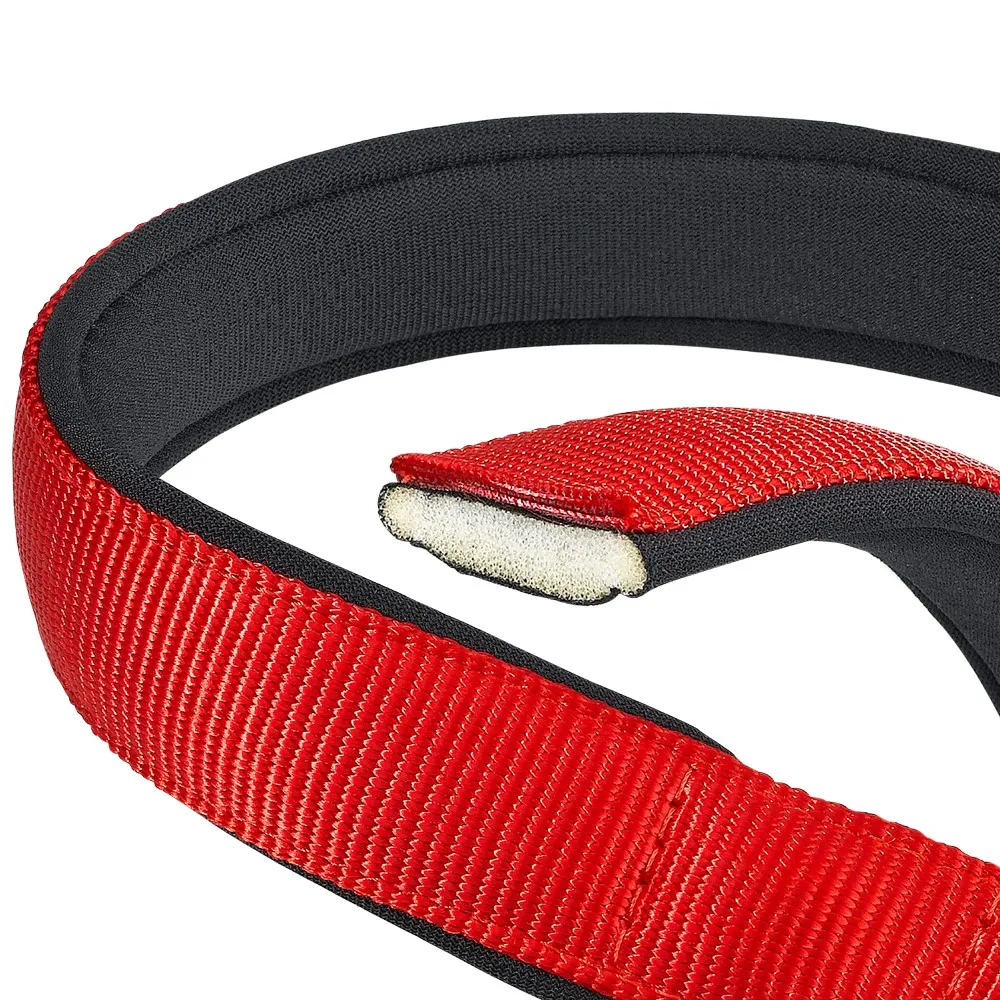 Collar acolchado Daytona C Ferplast - Imagen 3