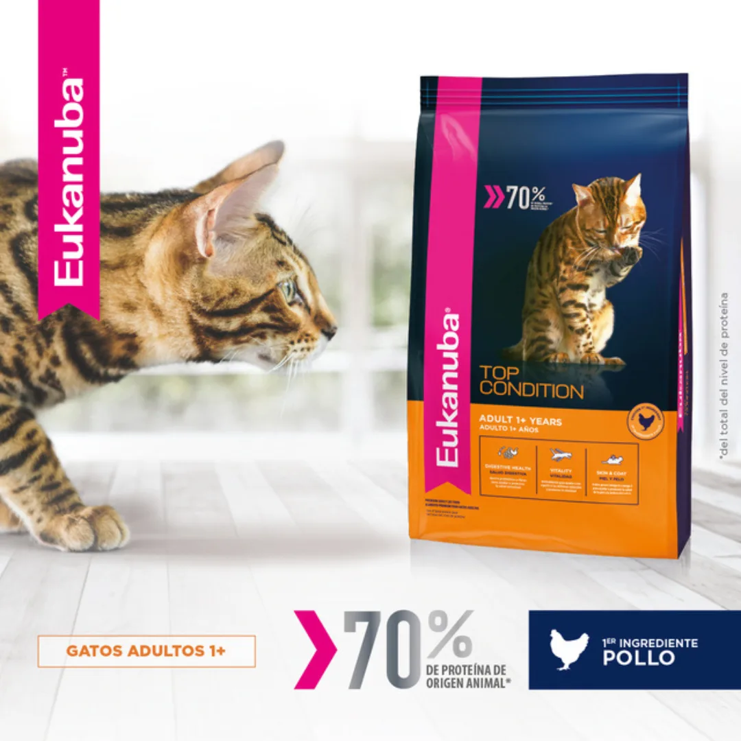 EUKANUBA CAT ADULT