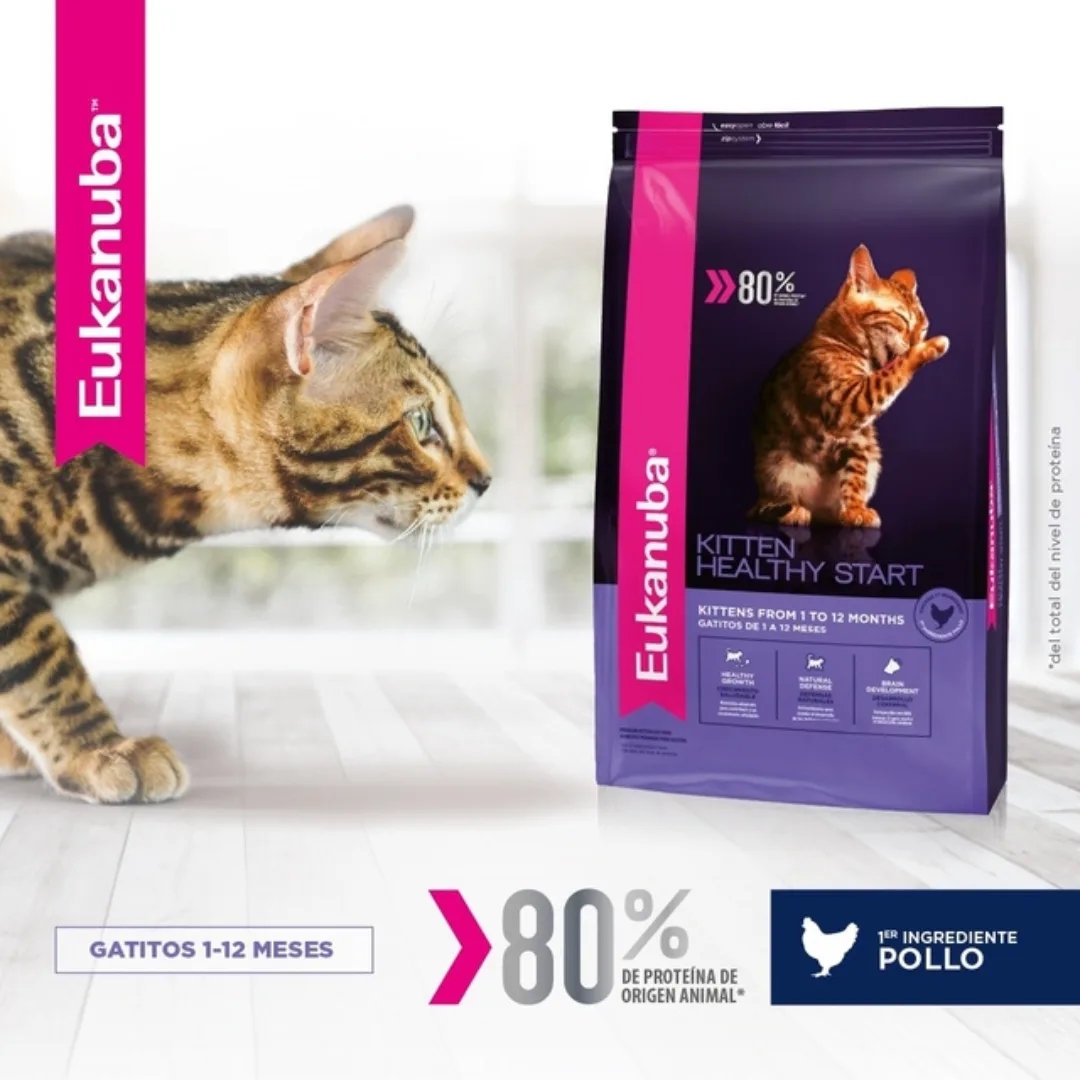 EUKANUBA CAT KITTEN
