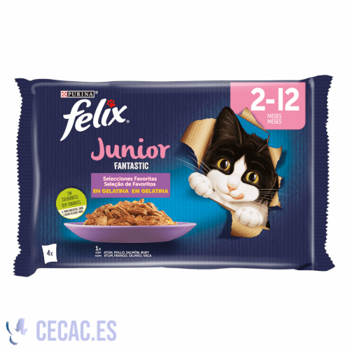 FELIX Fantastic Junior