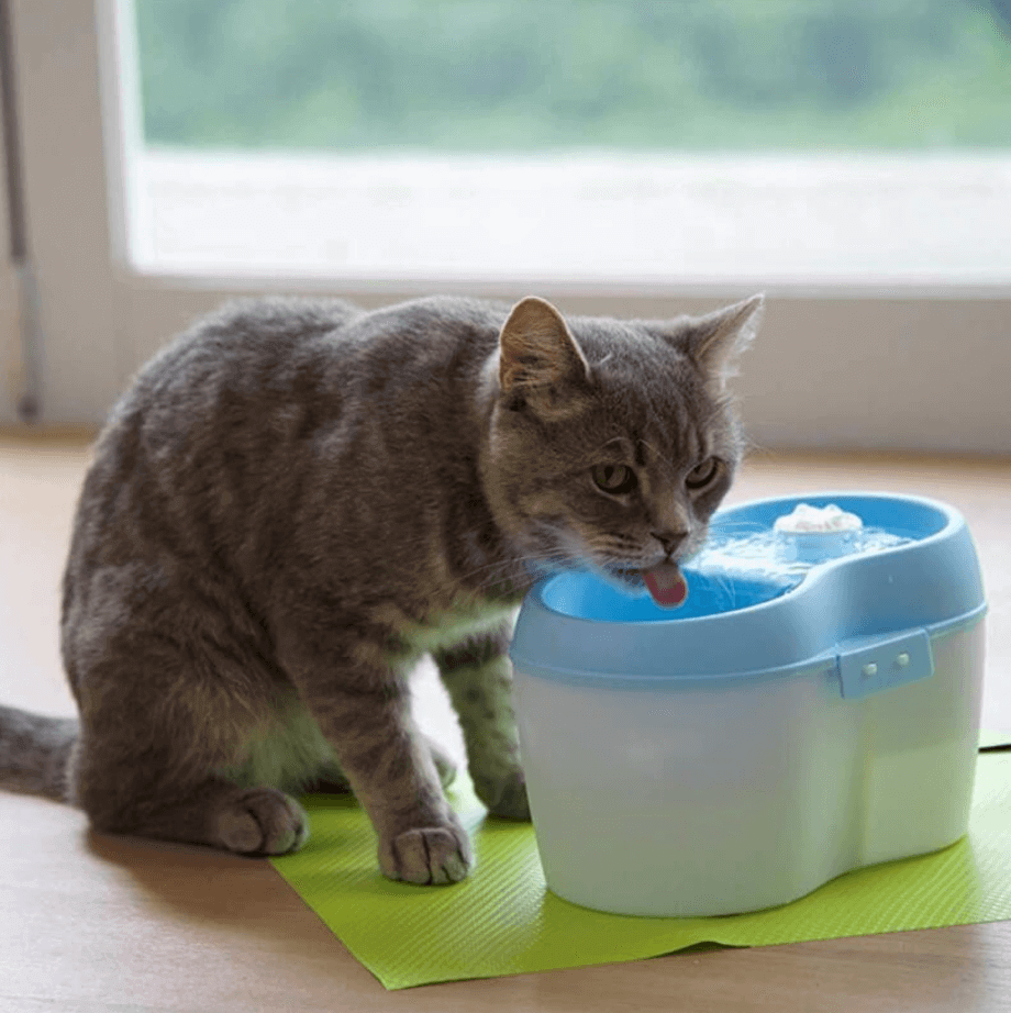 CAT H2O FUENTE DE AGUA GATO AZUL 2 LT - Imagen 5