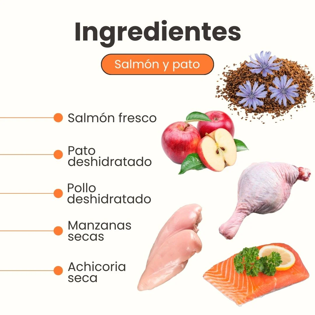 Alimento seco Nativo Bites Salmón, Pato y Pollo Kanu Pet para Gato Adulto - Imagen 3