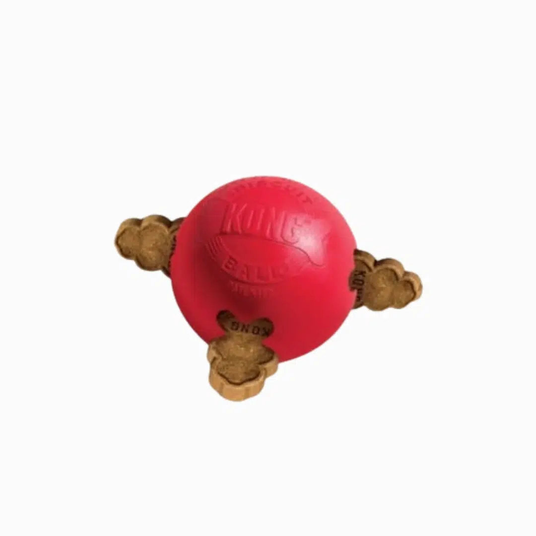 KONG BISCUIT BALL