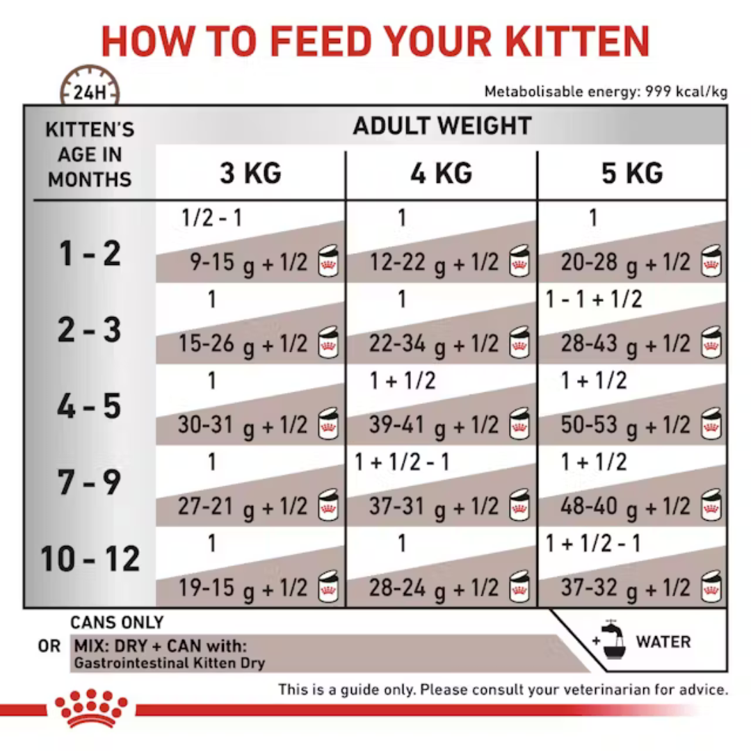 MOUSSE ROYAL CANIN GASTROINTESTINAL KITTEN