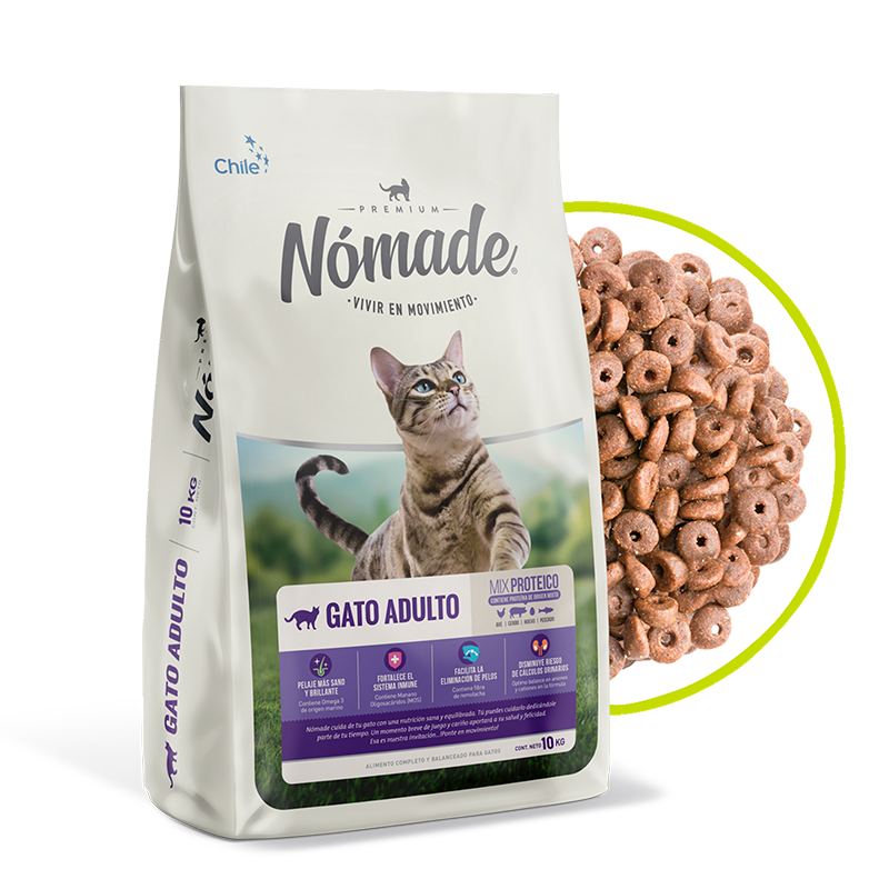 Nomade Gato Adulto
