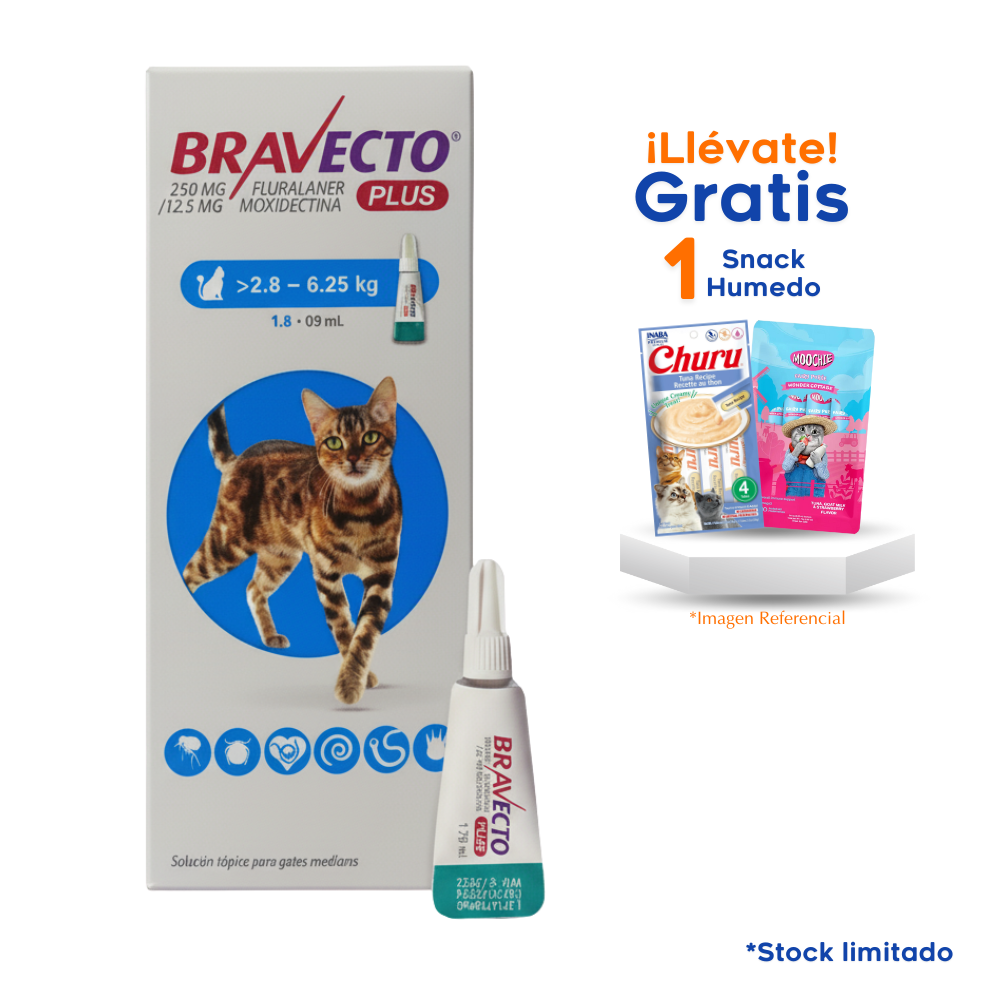 Bravecto Plus Pipeta para gatos de 2.8kg a 6.25kg