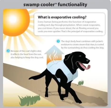 Chaqueta refrescante para perros Swamp Cooler Ruffwear