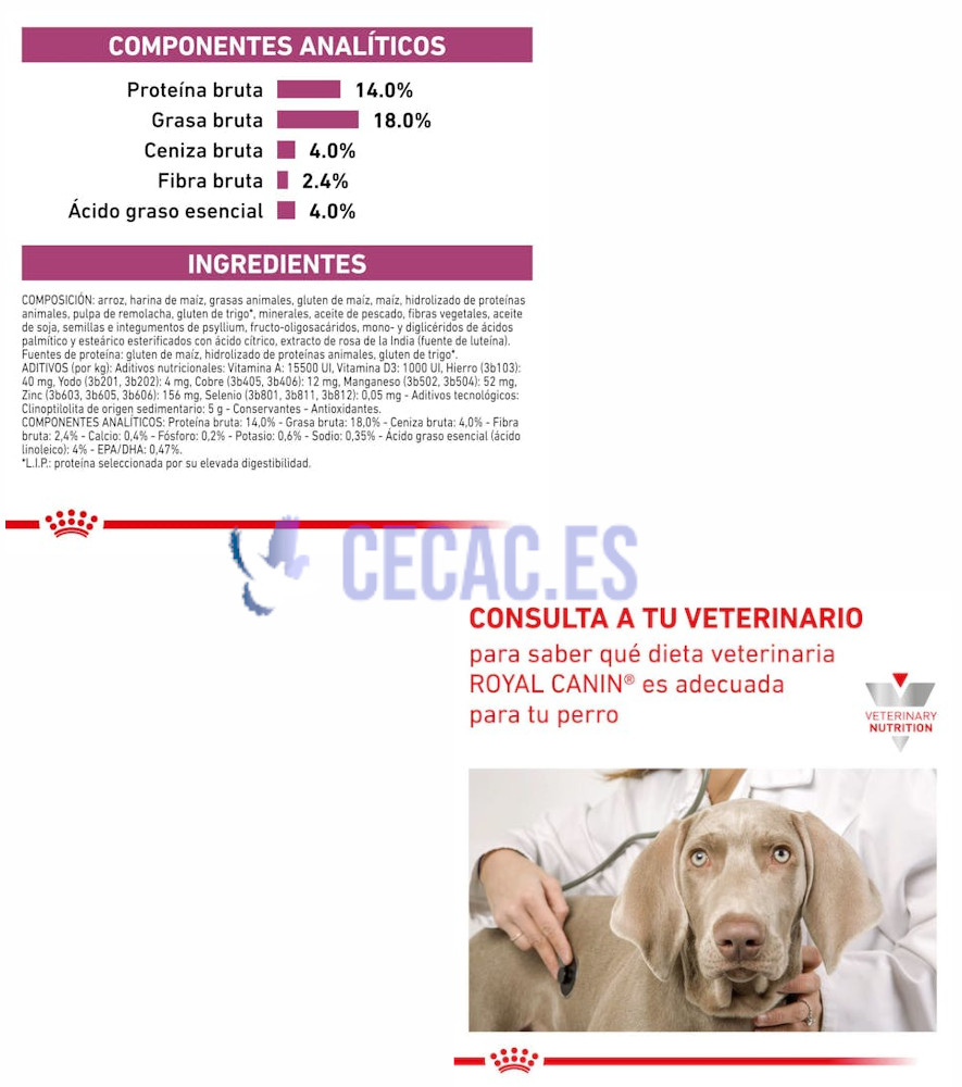 PIENSO ROYAL CANIN RENAL