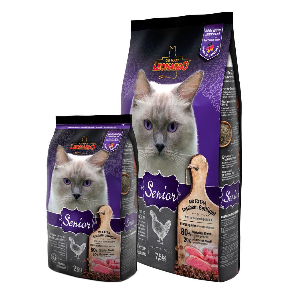 Leonardo Senior