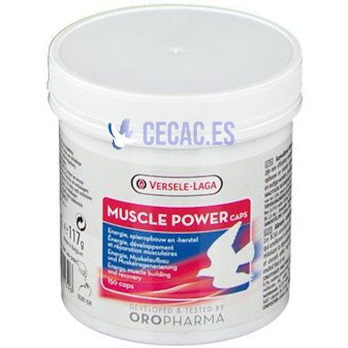 Muscle Power 150 cápsulas, Versele-Laga, (fortificante muscular)