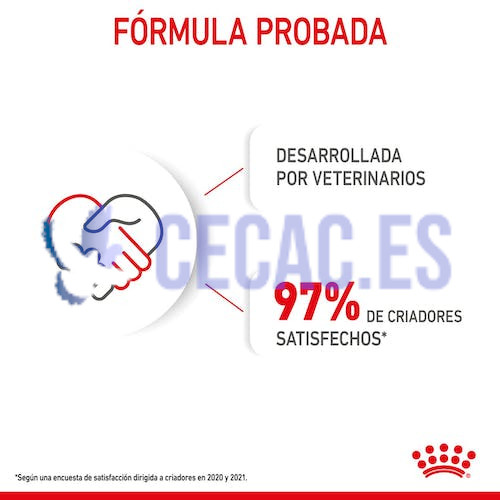 COMIDA HÚMEDA ROYAL CANIN – PUPPY – MAXI – TROCITOS EN SALSA - Imagen 3