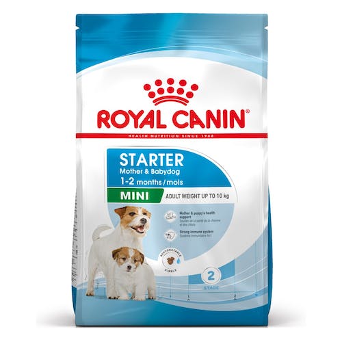 STARTER Mother & Babydog – MINI