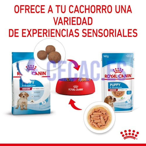 COMIDA HÚMEDA PUPPY – MEDIUM – TROCITOS EN SALSA