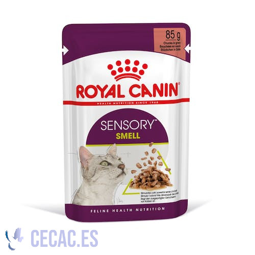 SENSORY SMELL Chunks in gravy
