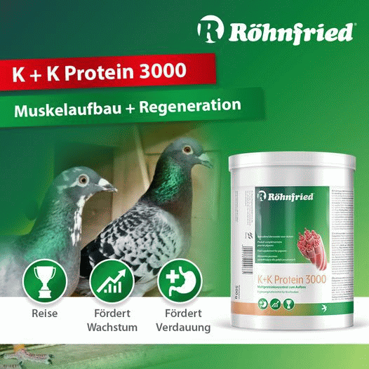 K + K Protein 3000 -Röhnfried 500 g