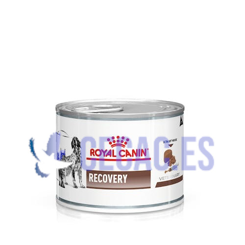 COMIDA HÚMEDA ROYAL CANIN RECOVERY