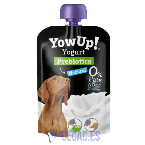 YouUp – Yogur sin lactosa 115g